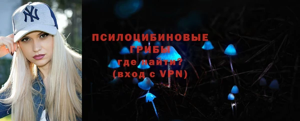 mix Белокуриха