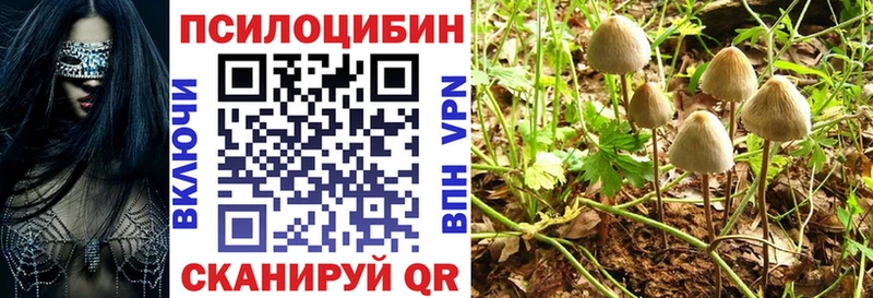 купить наркотики цена  Болотное  Галлюциногенные грибы Psilocybine cubensis 